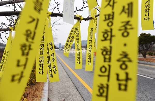 경찰인재개발원 앞 나뭇가지에 빠른 귀가를 기원하는 노란 리본이 매달려 있다.