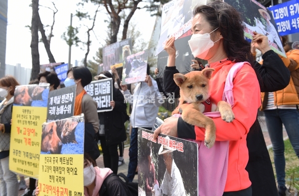 1500만 반려인 연대등 90여개 동물단체 회원 20여명이 7일 박 후보 선거사무소 앞에서 기자회견을 가졌다.(사진=채원상 기자)