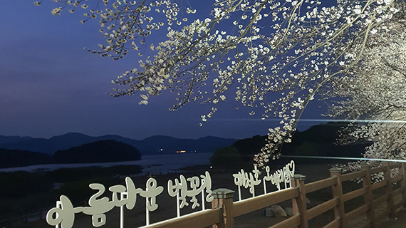 대전 동구가 다음 달 18일 까지 '야간 경관 조명'을 점등한다. 사진=대전 동구 제공/굿모닝충청=박종혁 수습기자