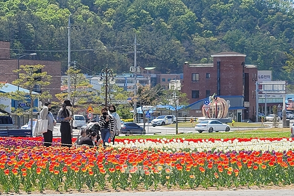 튤립 꽃밭을 구경하고 있는 사람들. (사진=굿모닝충청 이종현 기자)