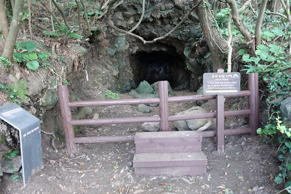 일제시대 북촌포구 서우봉에 구축된 동굴진지.