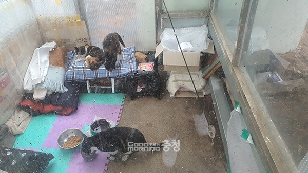 충남 예산군 예산읍 소재 한 아파트에 마련된 길고양이 쉼터. 굿모닝충청=이종현 기자.