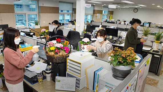 대전 중구청 직원들이 사무실을 꽃으로 장식하고 있다. 사진=대전 중구 제공/굿모닝충청=박종혁 수습기자