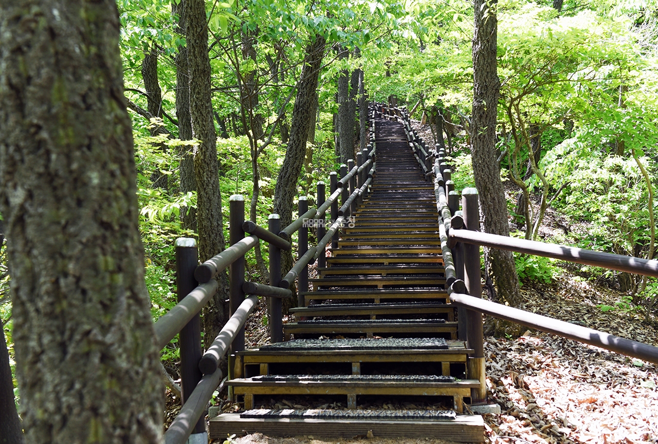 올라갈 계단이 너무 많이 남아 포기하고 싶다면 지금까지 얼마나 많은 계단을 걸어왔는지 생각해보자. (사진=굿모닝충청 채원상 기자)