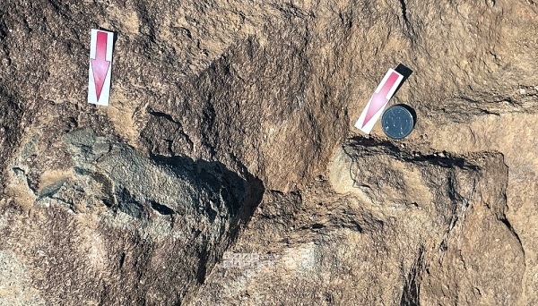 충남 부여에서 공룡알 화석 발견…전문가 조사