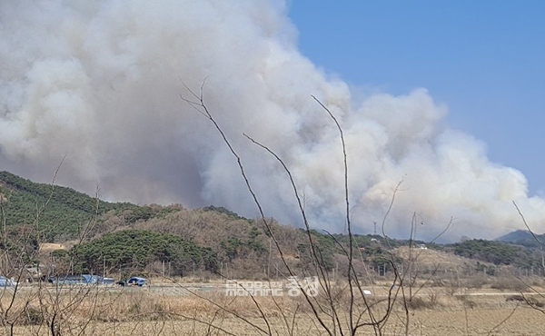 충남 홍성군 서부면 중리 한 야산에서 2일 오전 11시쯤 화재가 발생, 소방당국이 진화를 벌이고 있다. (사진=독자 제공/굿모닝충청 이종현 기자)